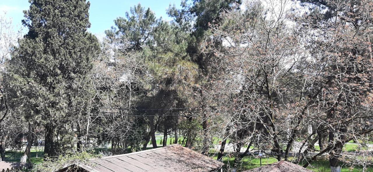 Гостиница "Курорт" Pitsunda Exterior foto